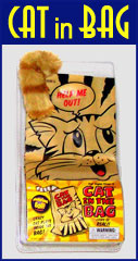 cat in bag